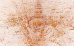 2014 05 29 Ends of Invention 27-white.jpg